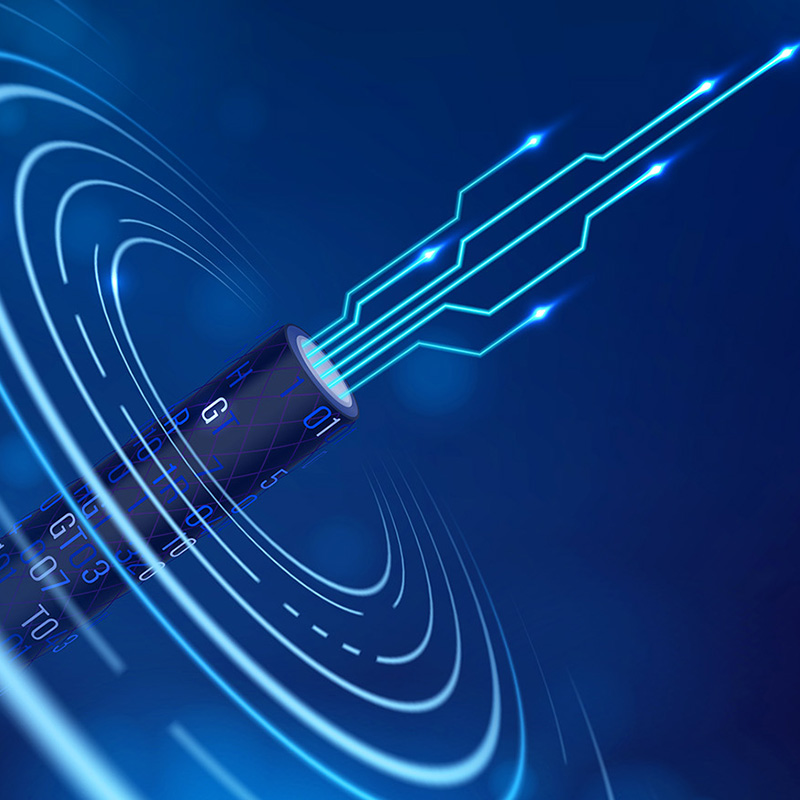 Lianou Electric presenta prodotti innovativi all'Expo internazionale dell'elettricità, guidando la tendenza ecologica